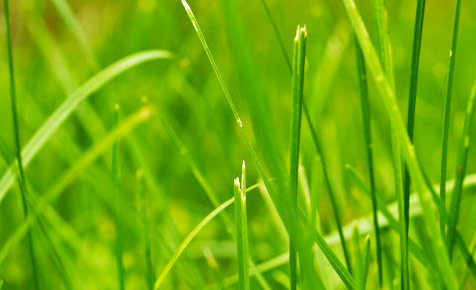 无卡顿不闪退的网页攻击器